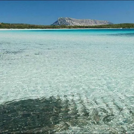 A 50 Mt Dalla Spiaggia Di Ottiolu - Rea1 Porto Ottiolu